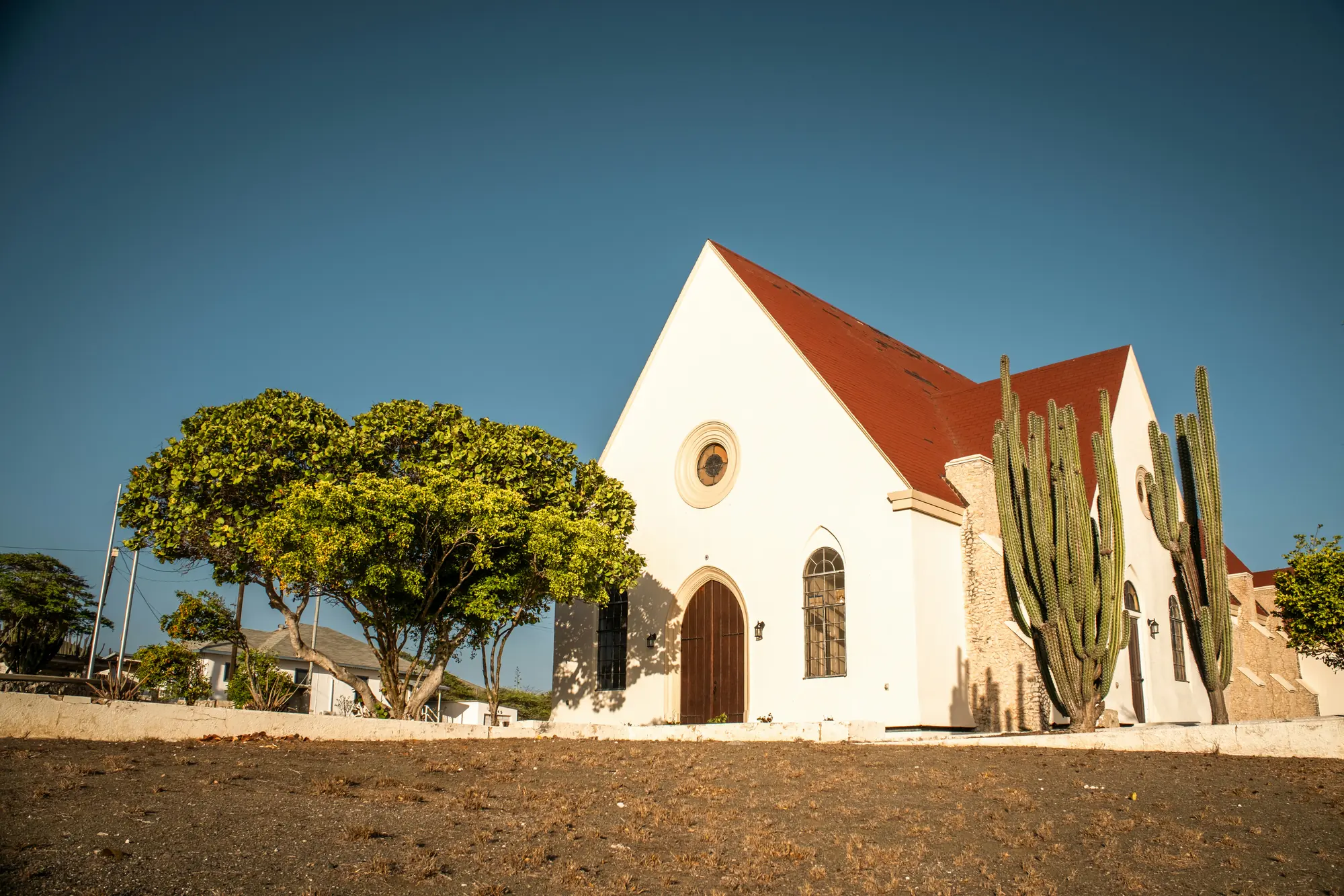 A white chapel with a red roof beside tall cacti under a blue sky in San Nicolas, Aruba
